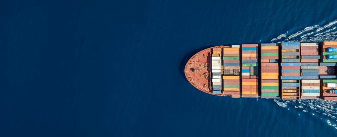 wheat news, export markets